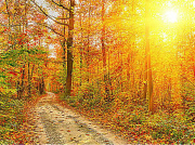 南方防爆潛水泵電機(jī)的結(jié)構(gòu)特點